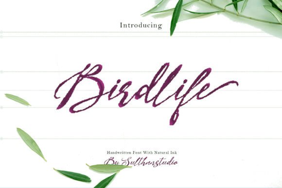 Bird Life: The Handwritten Font for Bold Campaigns