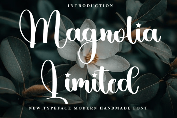 How Magnolia Limited Transforms Small Business Branding