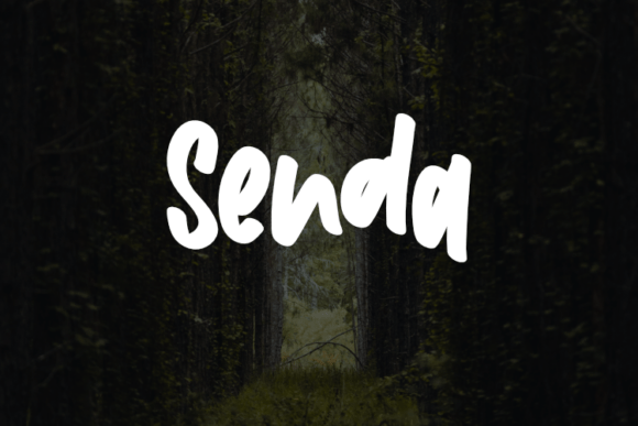 Senda Font Review: The Ultimate Script for Modern Branding